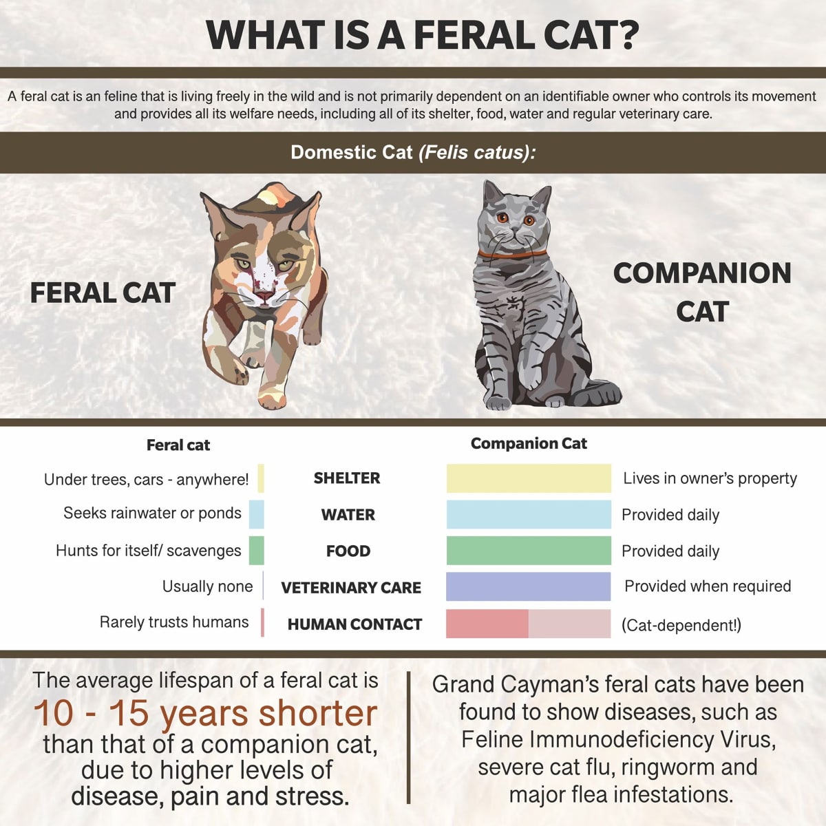 What Makes An Animal Feral